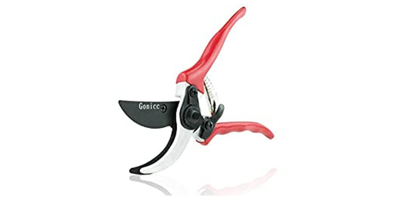 Best pruners for arthritic hands