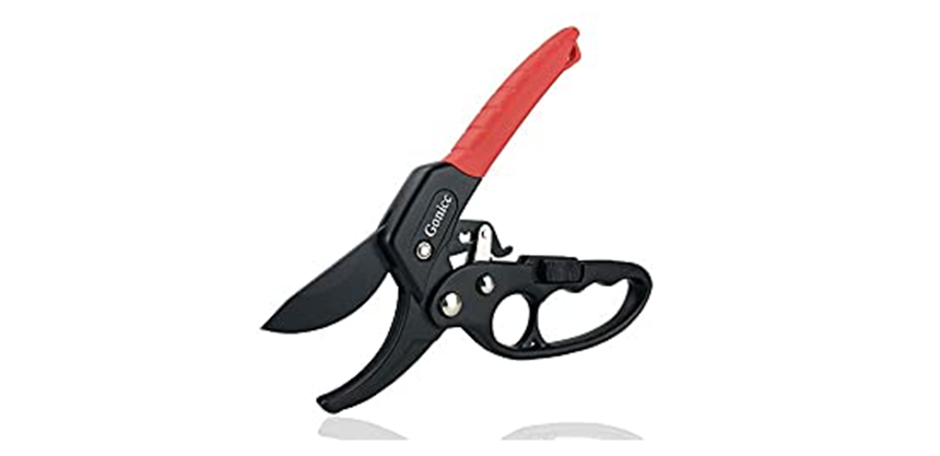 Best pruners for arthritic hands