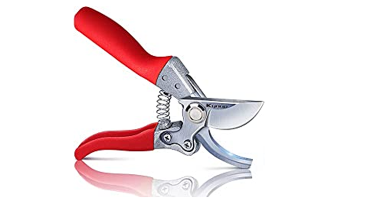 Best pruners for arthritic hands