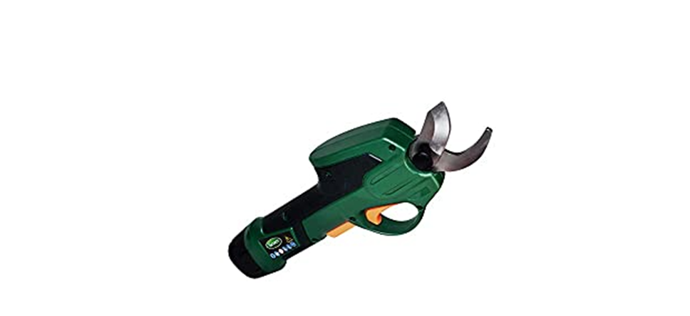 Best pruners for arthritic hands