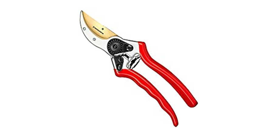 Best pruners for arthritic hands