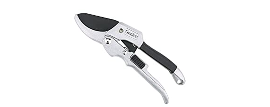 Best pruners for arthritic hands