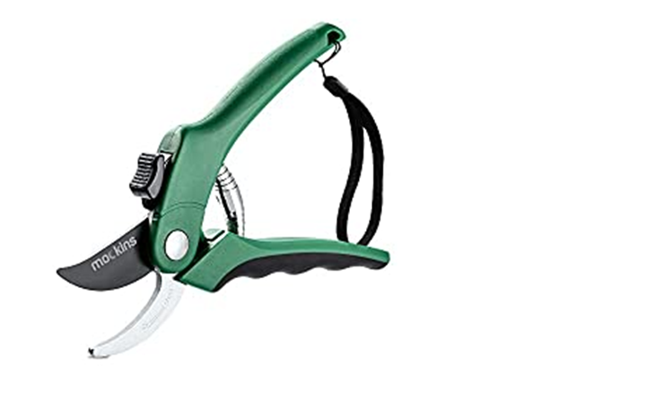 Best pruners for arthritic hands