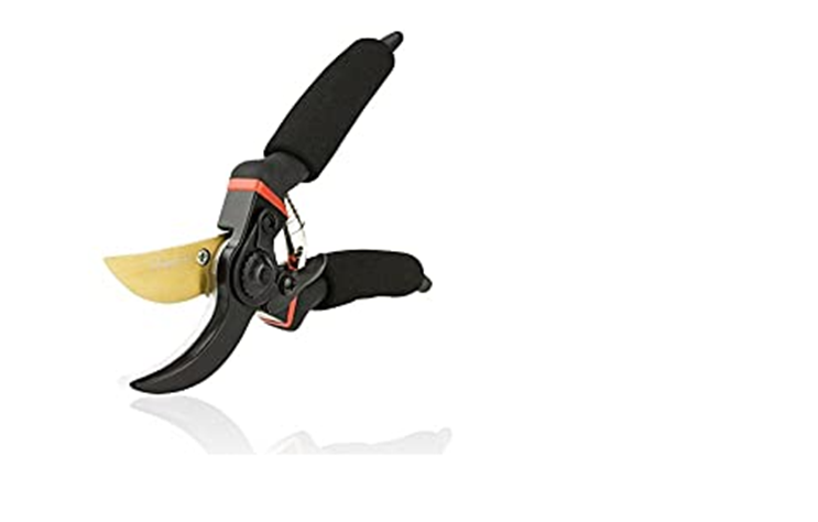 Best pruners for arthritic hands
