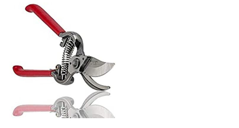 Best pruners for arthritic hands