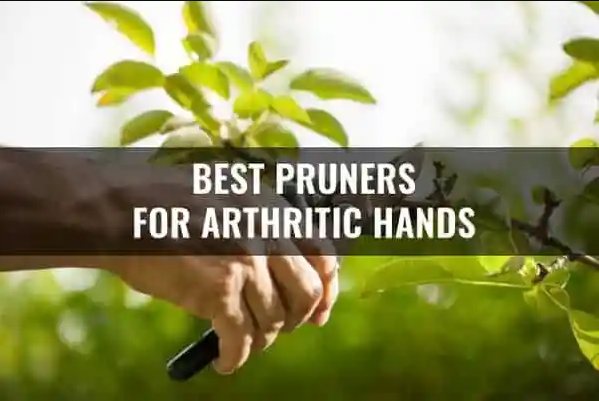 Best pruners for arthritic hands